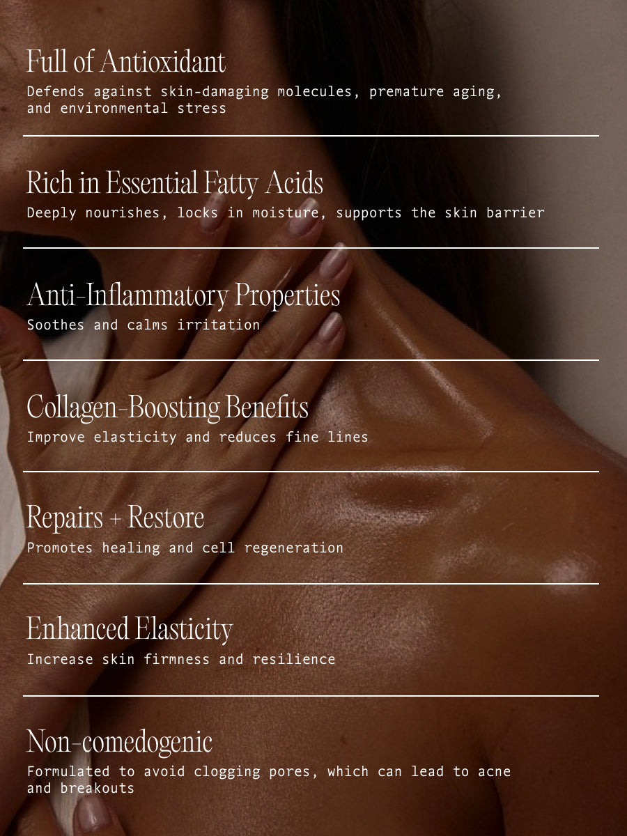 Starter Set + Refill Single Bundle