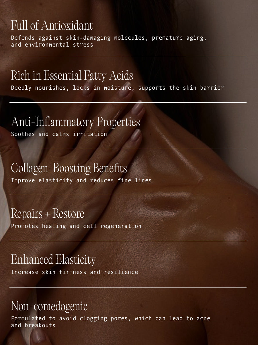 The Scent Discovery Set